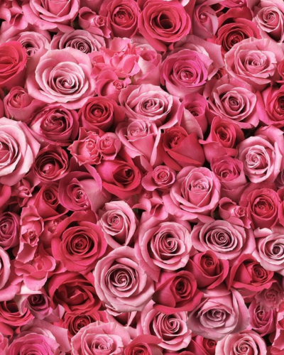 Rose Face Cleansing Foam – Eco-Friendly Makeup Remover by Nurme at www.brixbailey.com