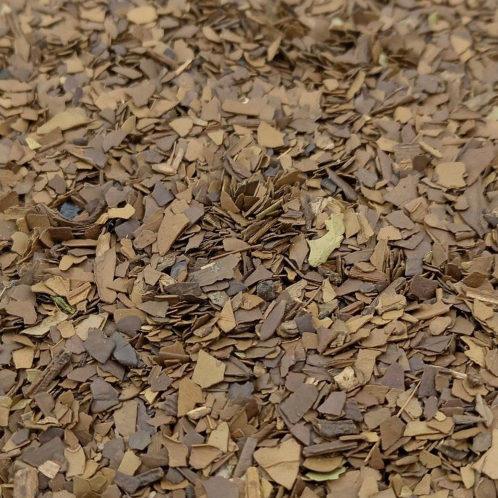 Roasted Yerba-maté