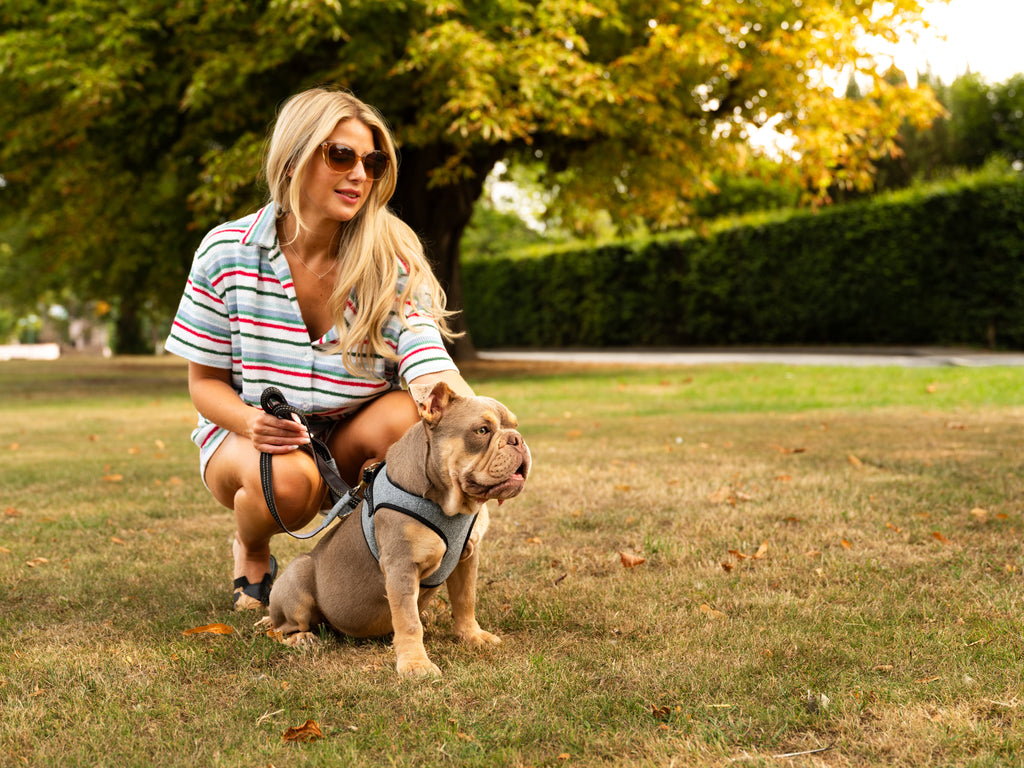 Mayfair Ocean Dog Harness