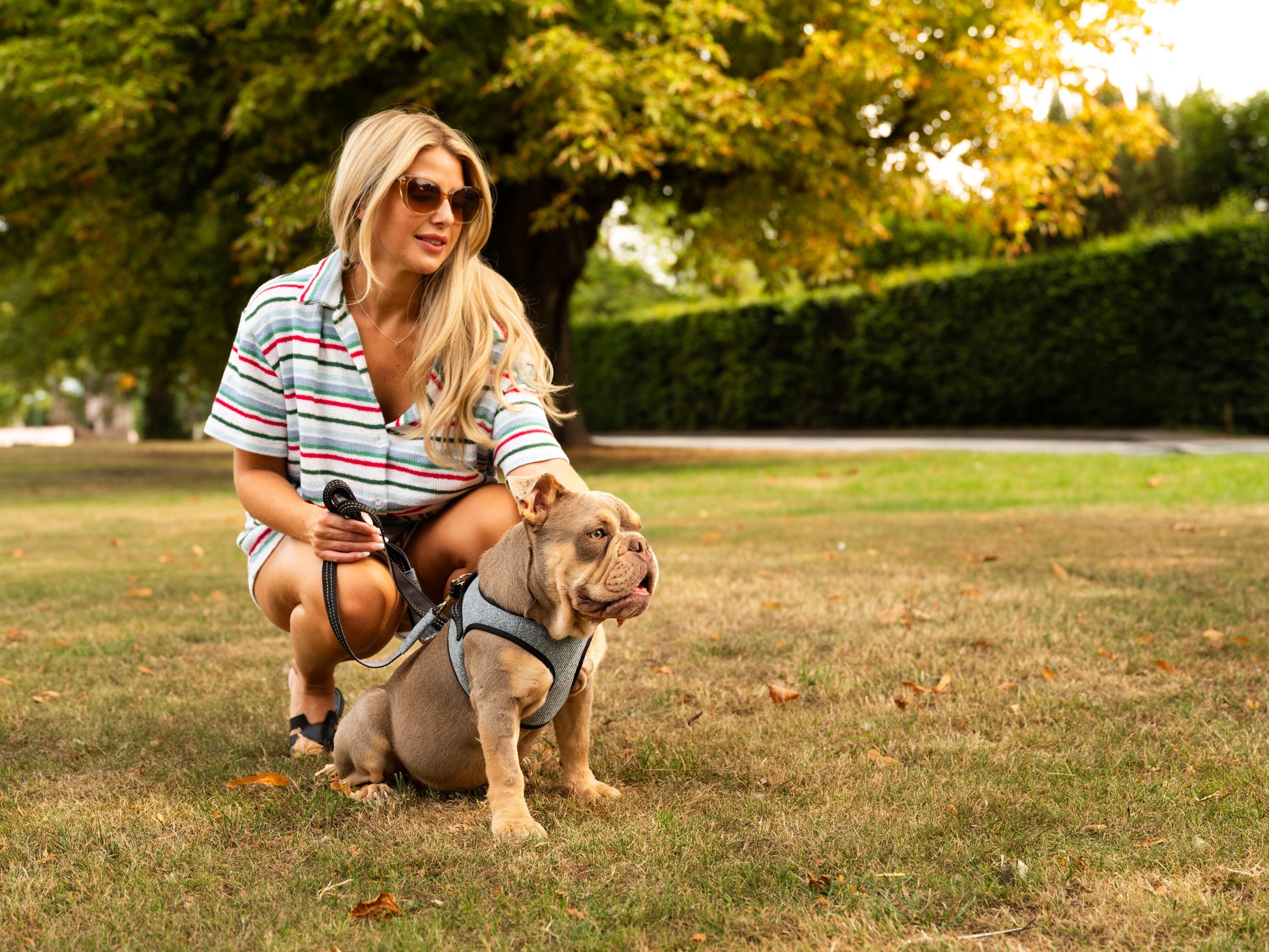 Mayfair Ocean Dog Harness