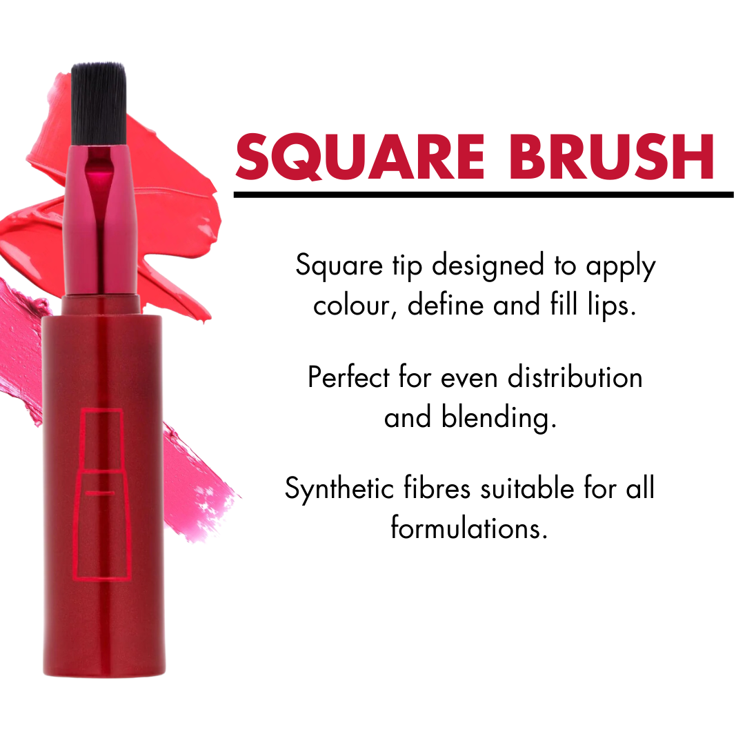 Magnetic Brush Set with Three Interchangeable Heads