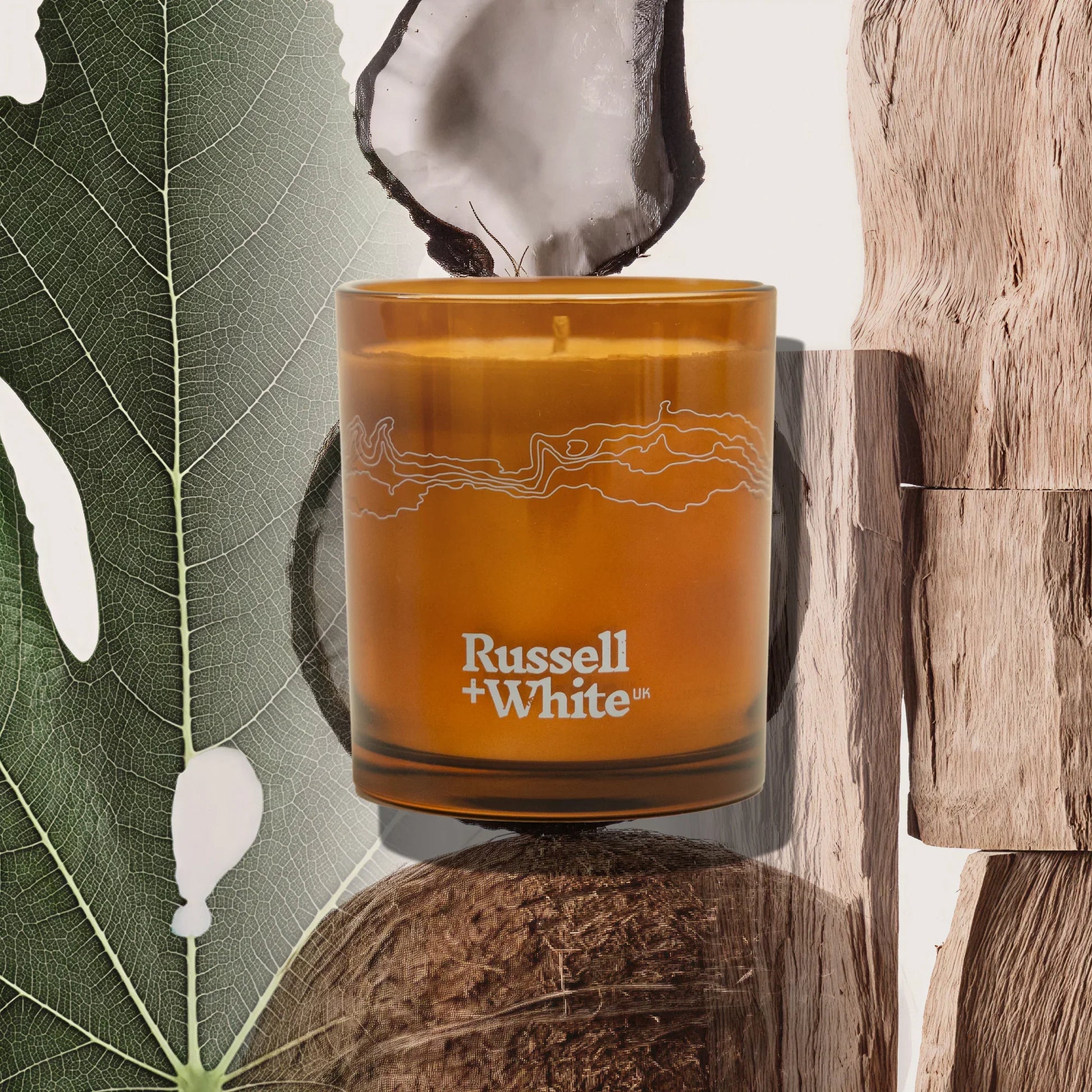 Opulence 250g Scented Candle Fig Leaf and Coconut