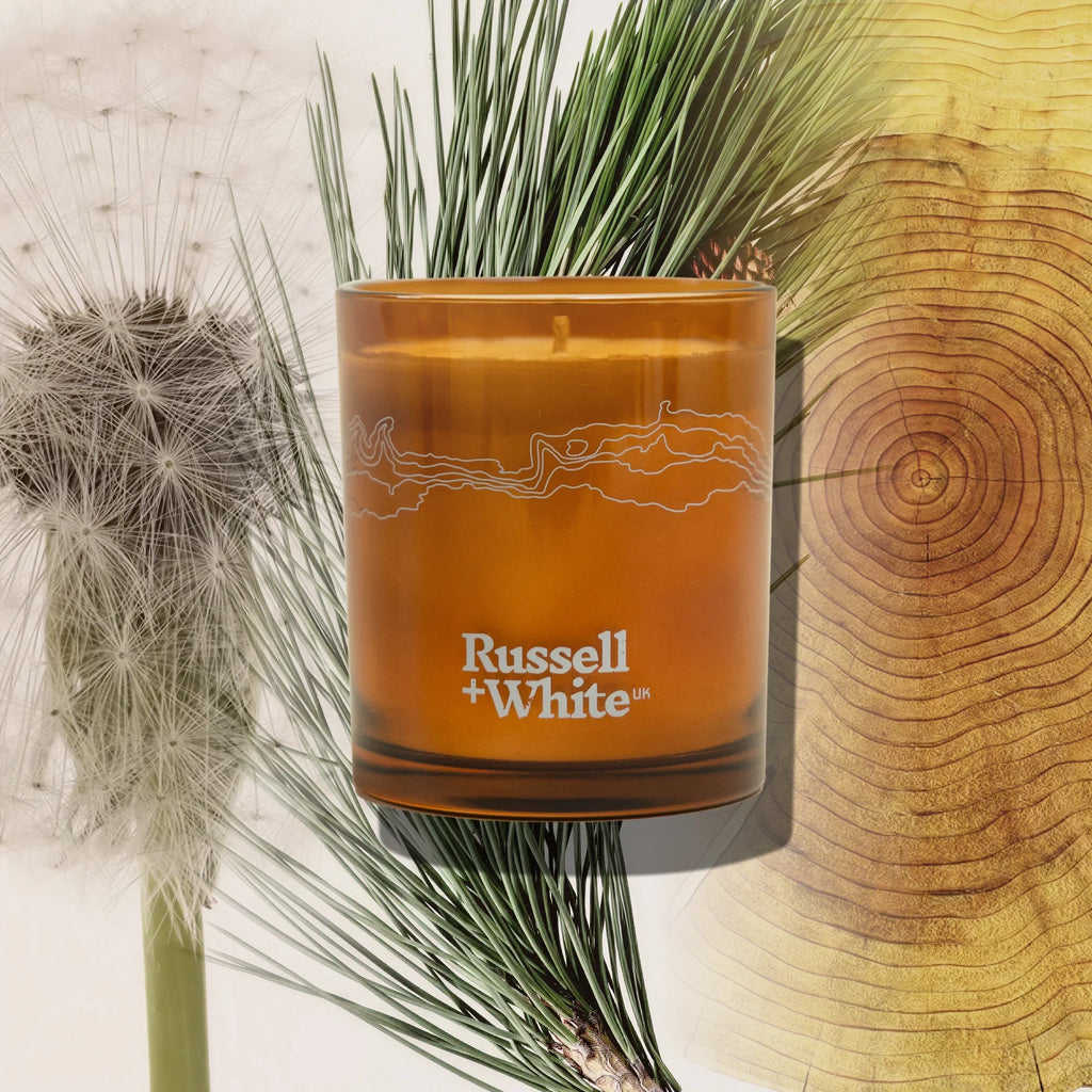 Sequoia 250g Scented Candle Refill