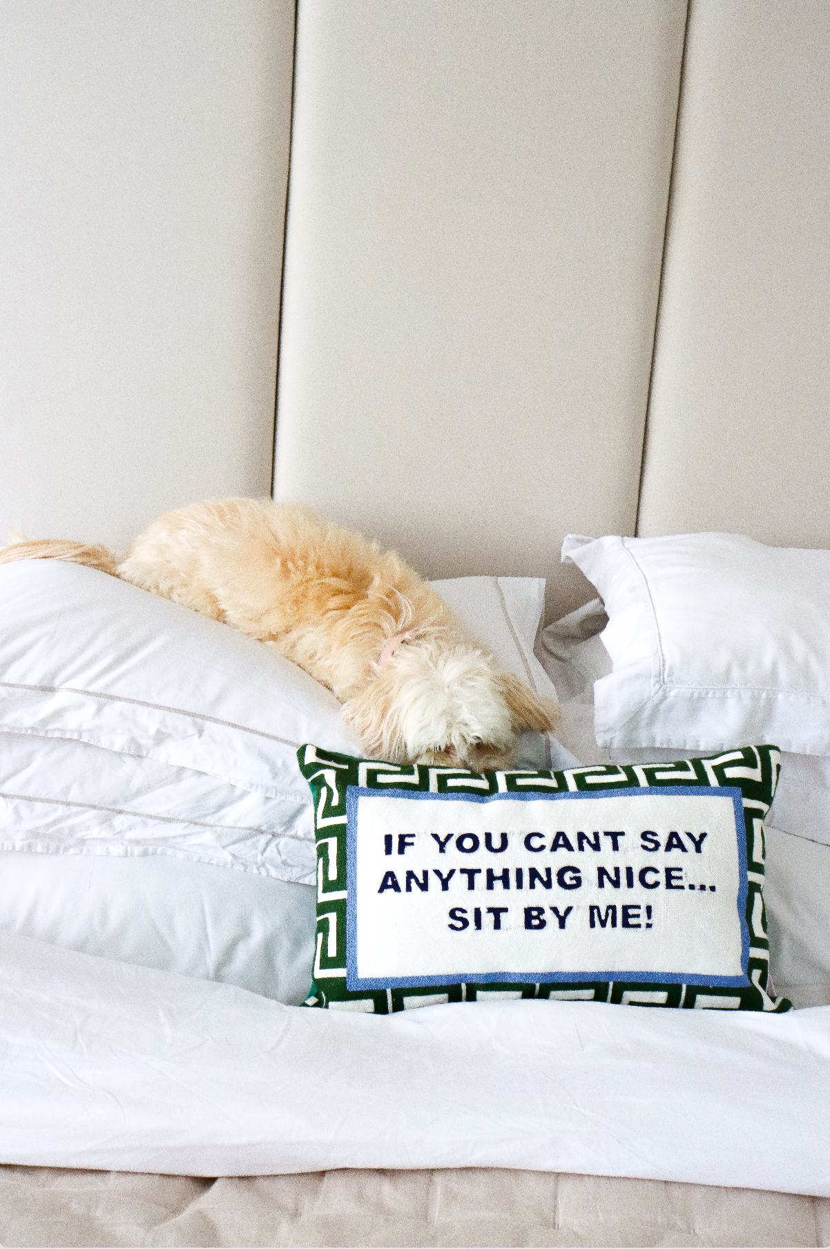 If You Can't Say Anything Nice Sit By Me Needlepoint Cushion