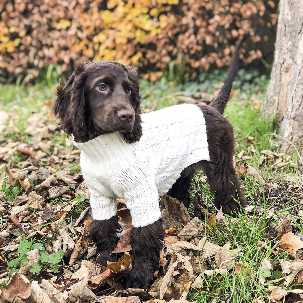 Cosy Turtleneck Knitwear