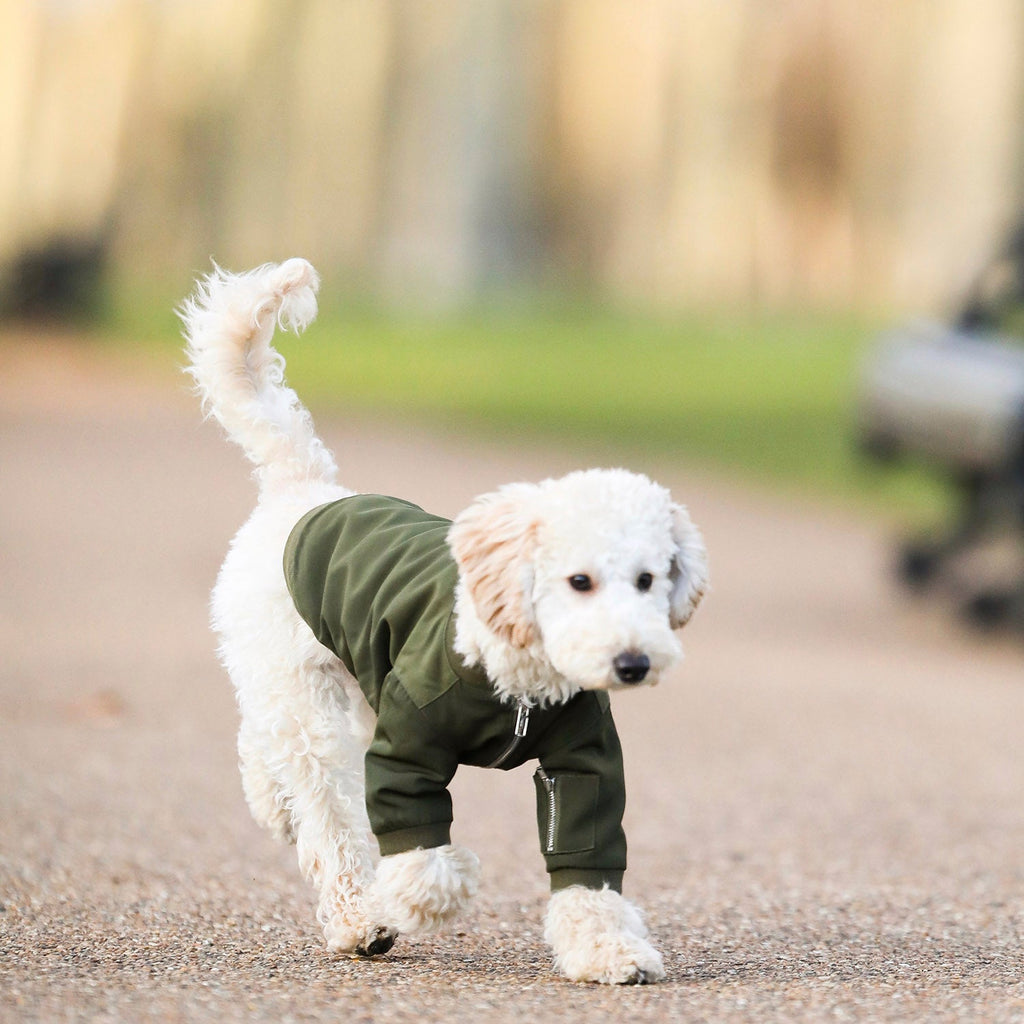 Zipped Bomber Jacket in Green