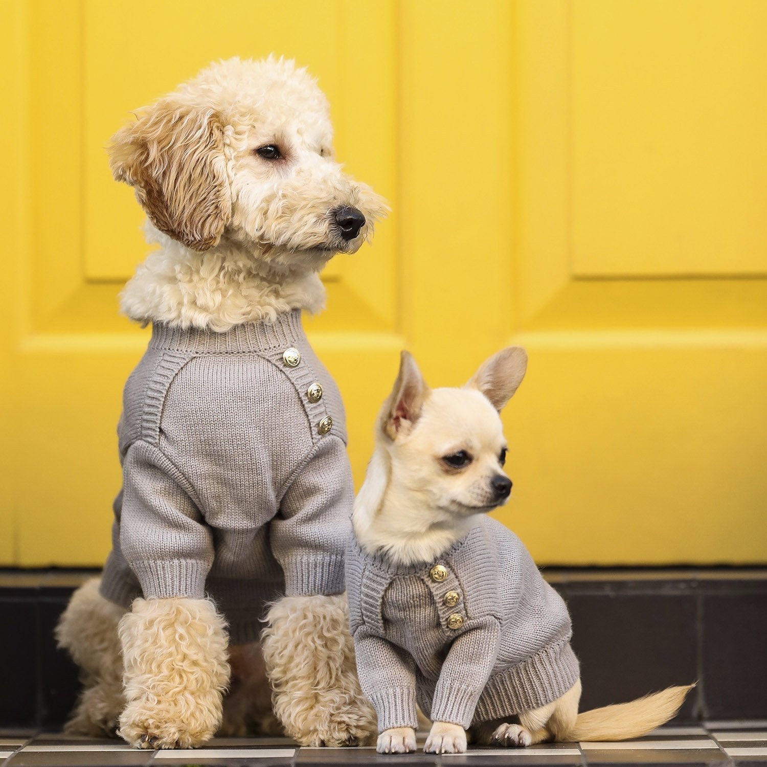 Button Jumper in Four Colours