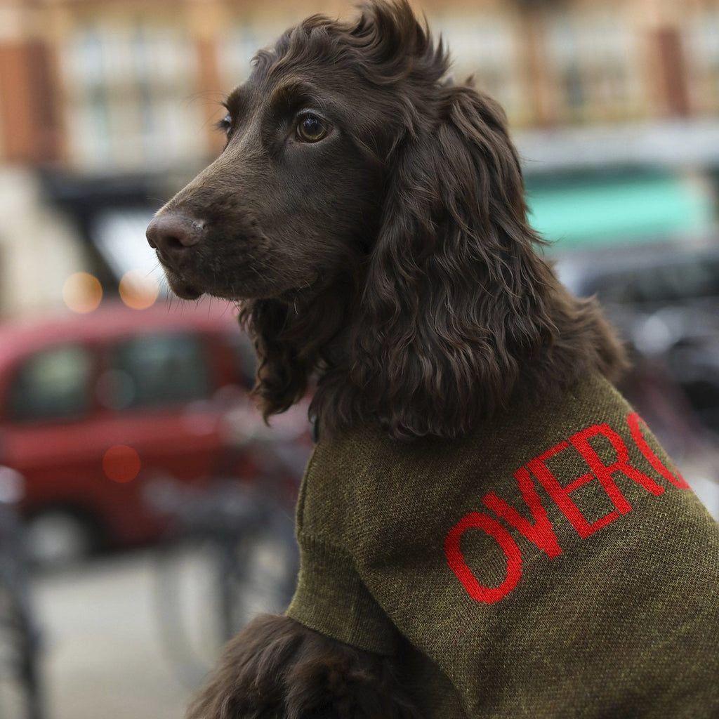 Overglam Logo Jumper in 5 Colours