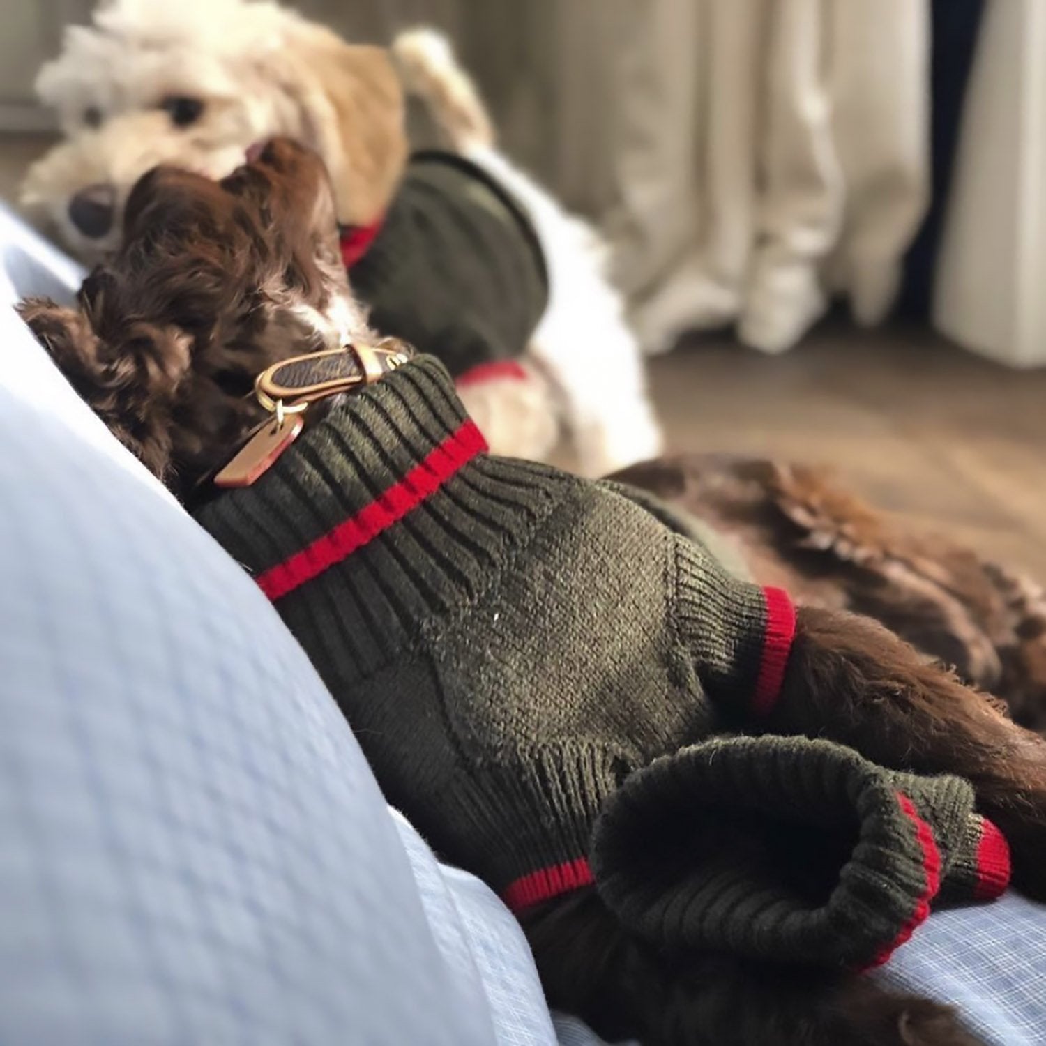 Contrast Turtleneck Jumper