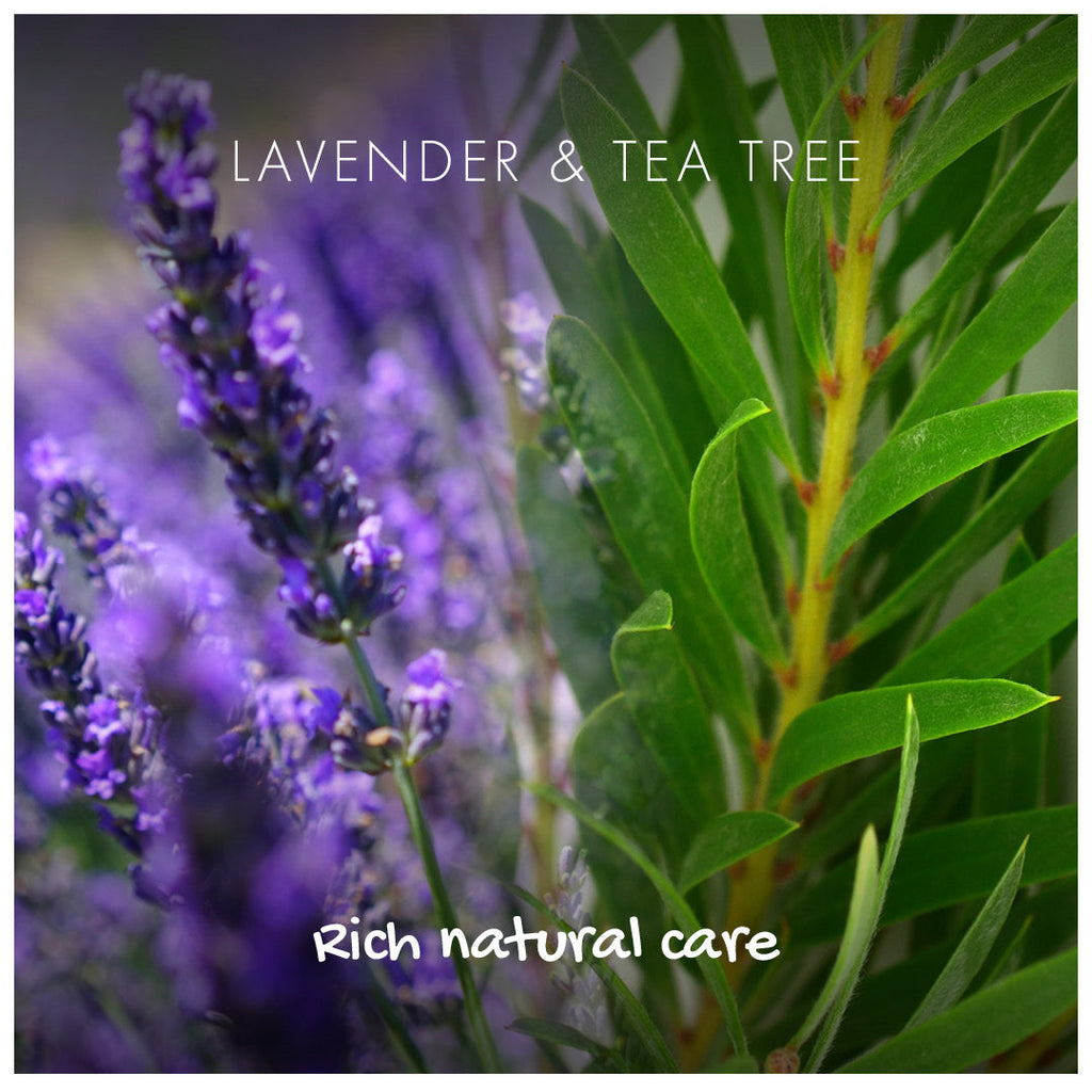 Lavender and Tea Tree Shampoo Bar