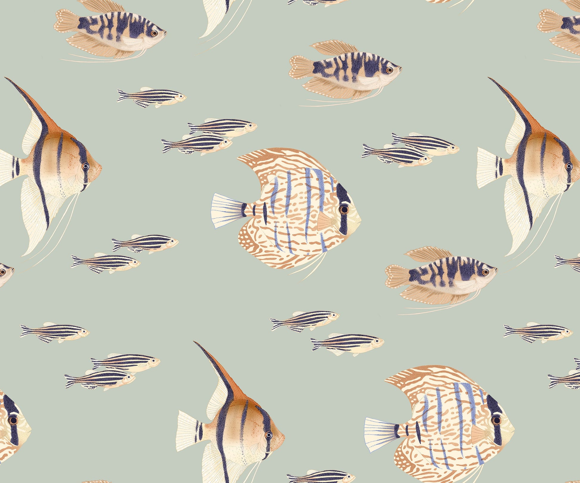 Shoal Fish Wallpaper