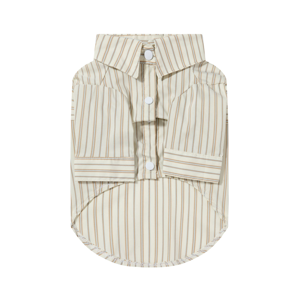 Striped Shirt