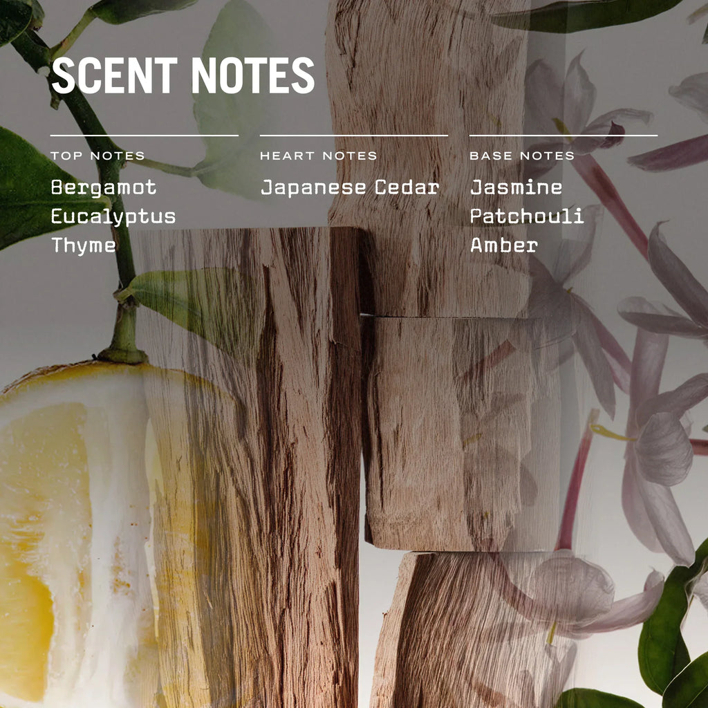 Sugi 250g Scented Candle