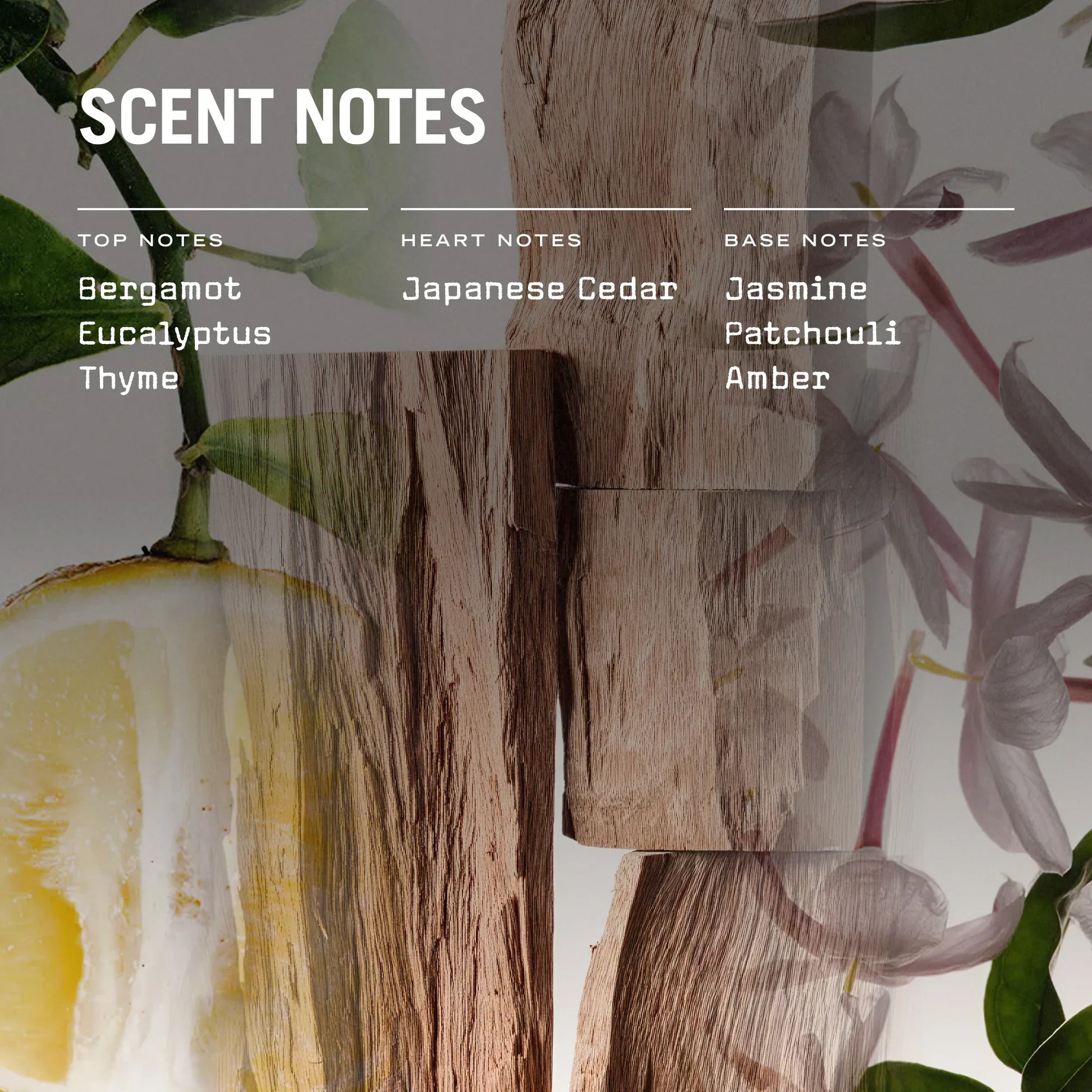 Sugi 250g Scented Candle