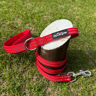 Step In Air Mesh Harness for Puppies and Small Dogs Red