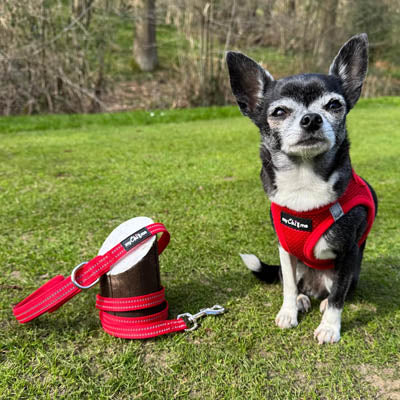 Step In Air Mesh Harness for Puppies and Small Dogs Red