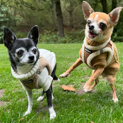 Step In Soft Touch Suede Faux Fur Lined Puppy and Small Dog Harness Caramel