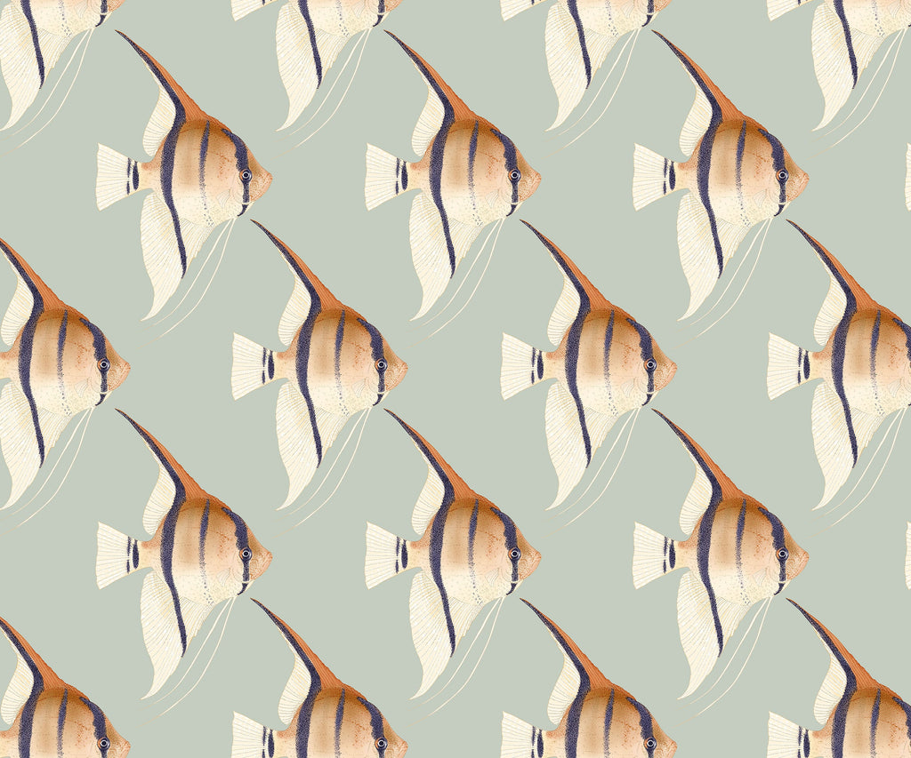 Geometric Angelfish Design Print