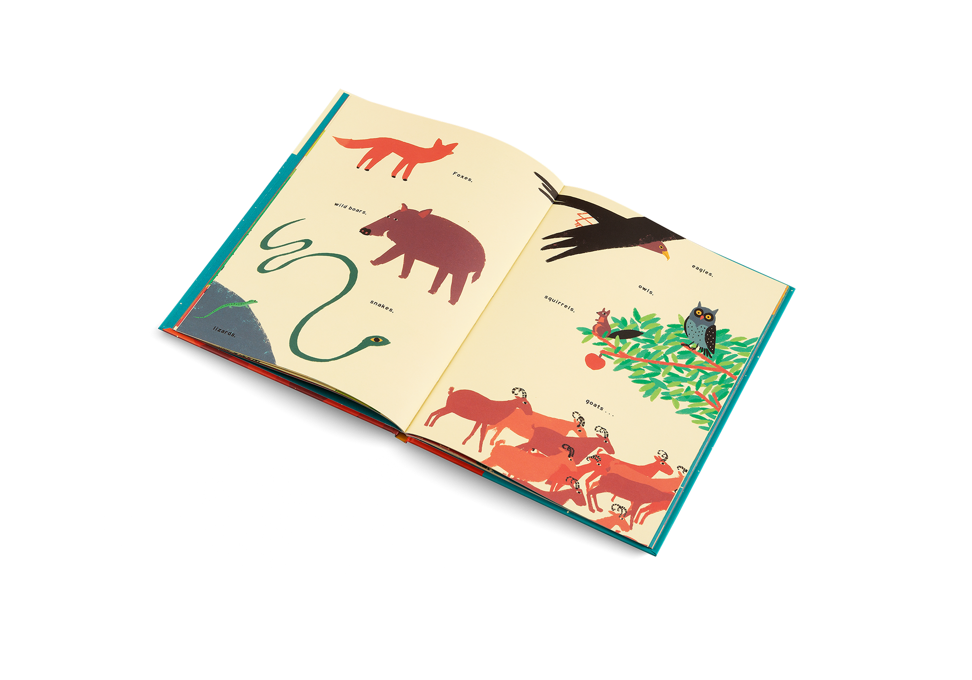 The Mountain Children's Picture Book