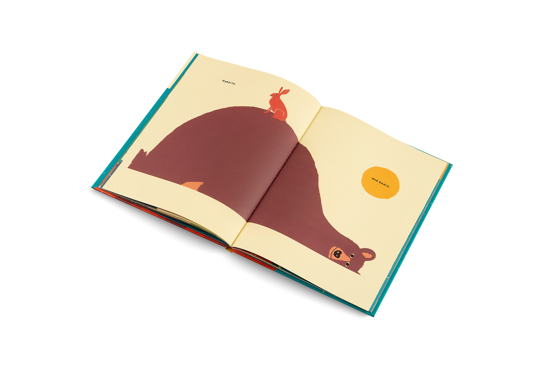 The Mountain Children's Picture Book
