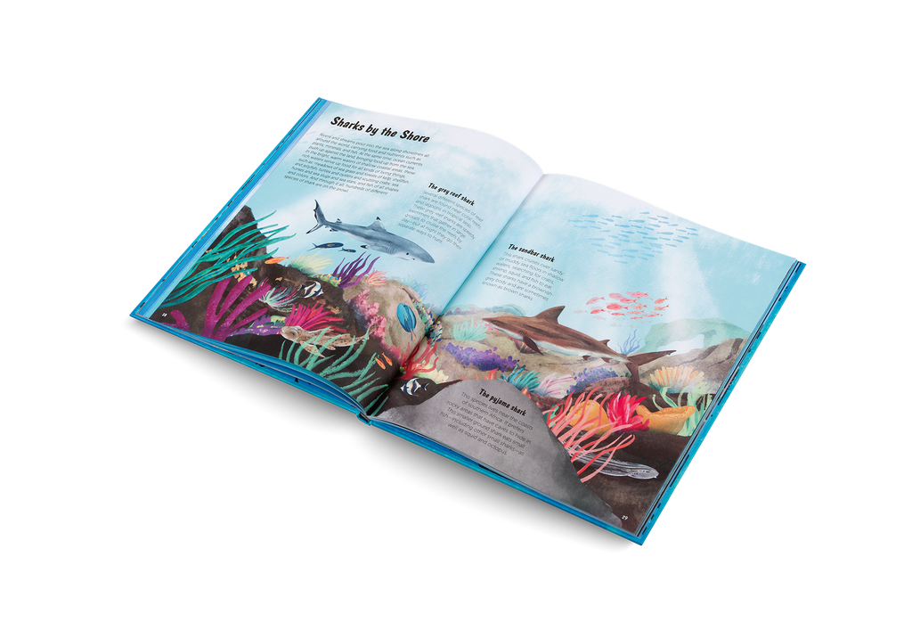 The World of Sharks