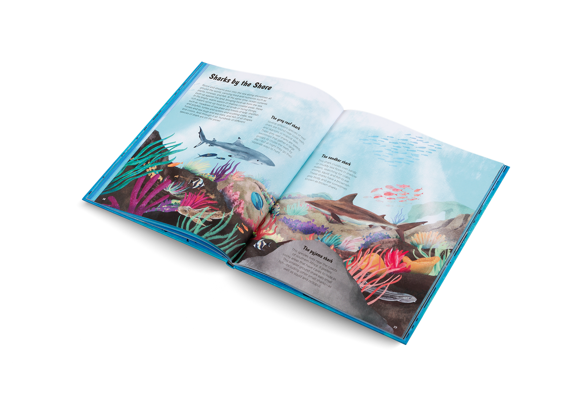 The World of Sharks