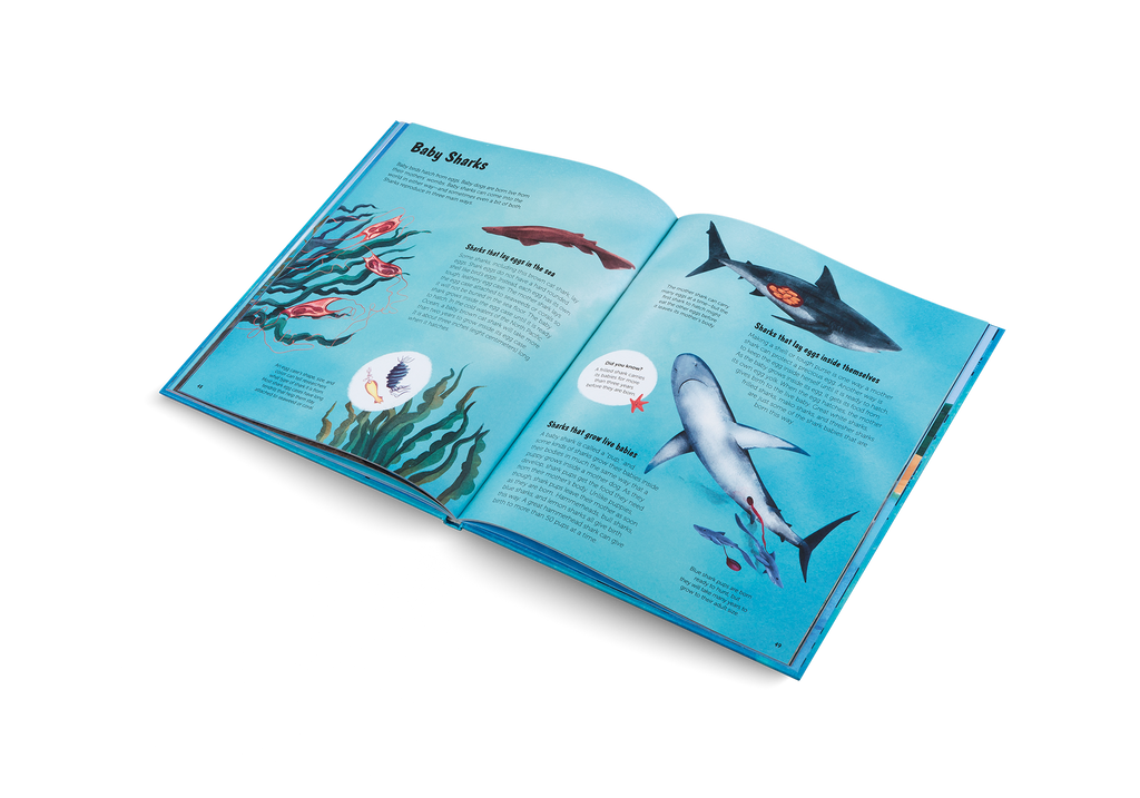 The World of Sharks