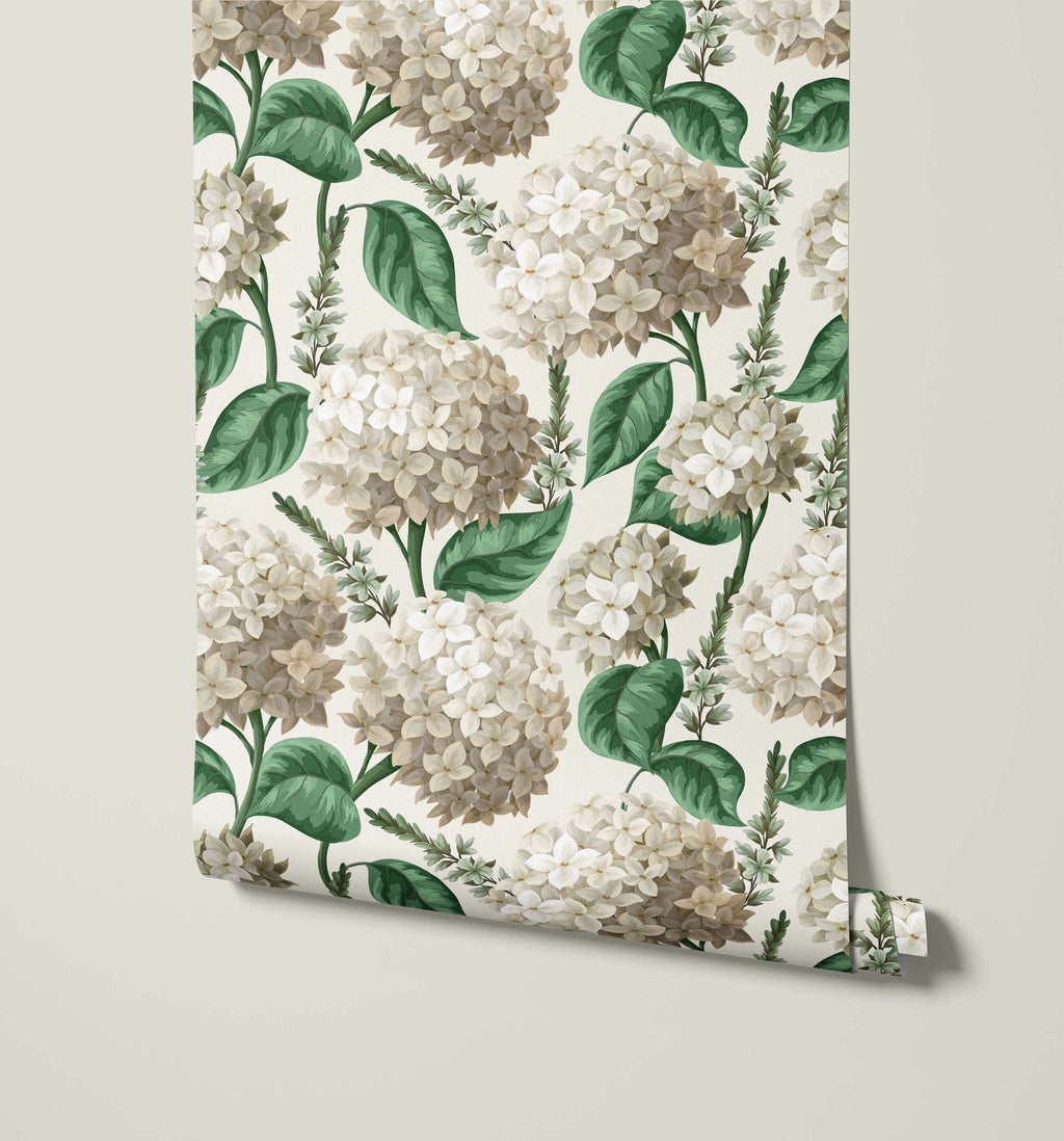 Vedder Hydrangea Wallpaper