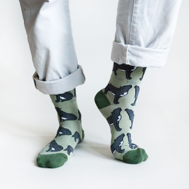 Green Lover Bamboo Sock Set with 5 Pairs