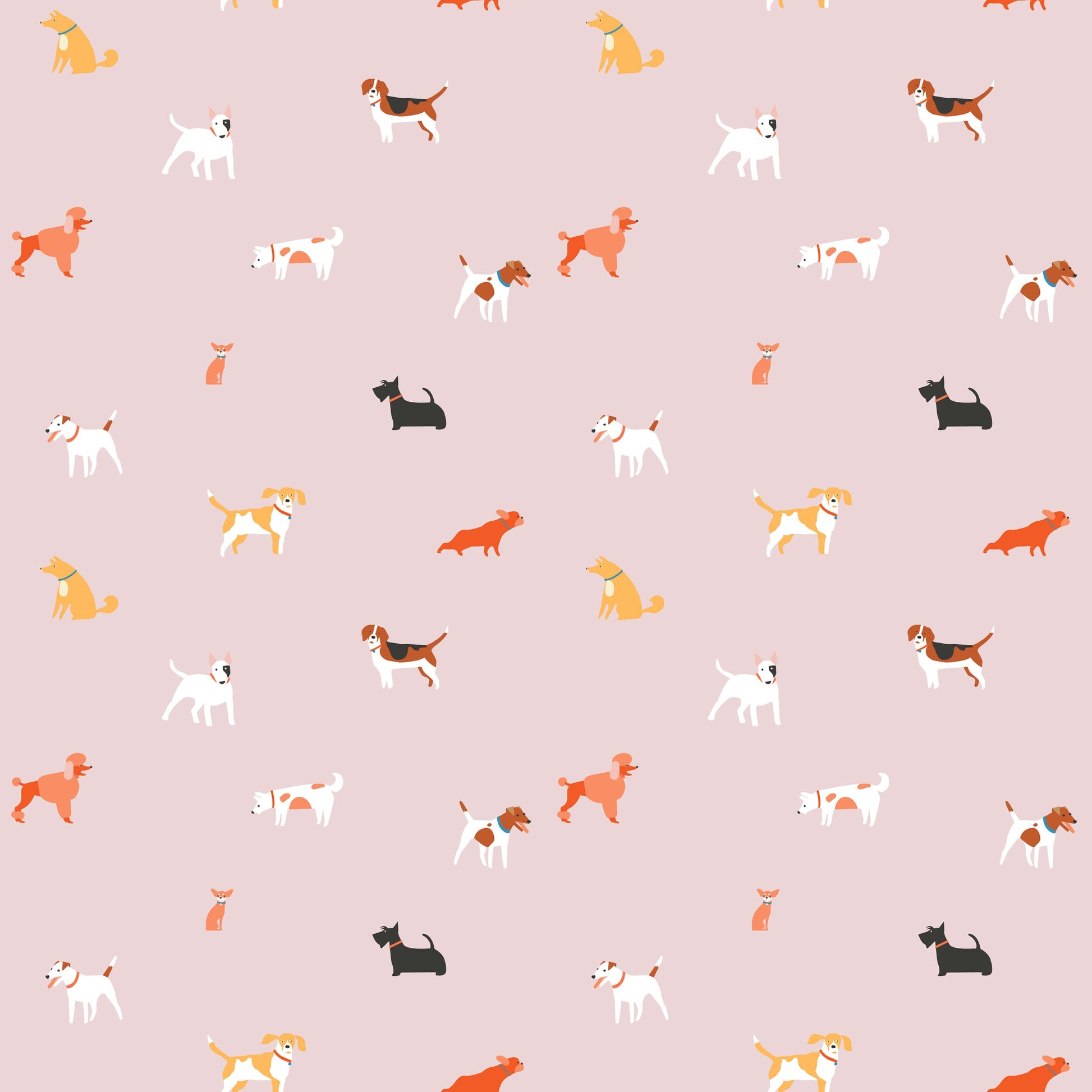 Woof
