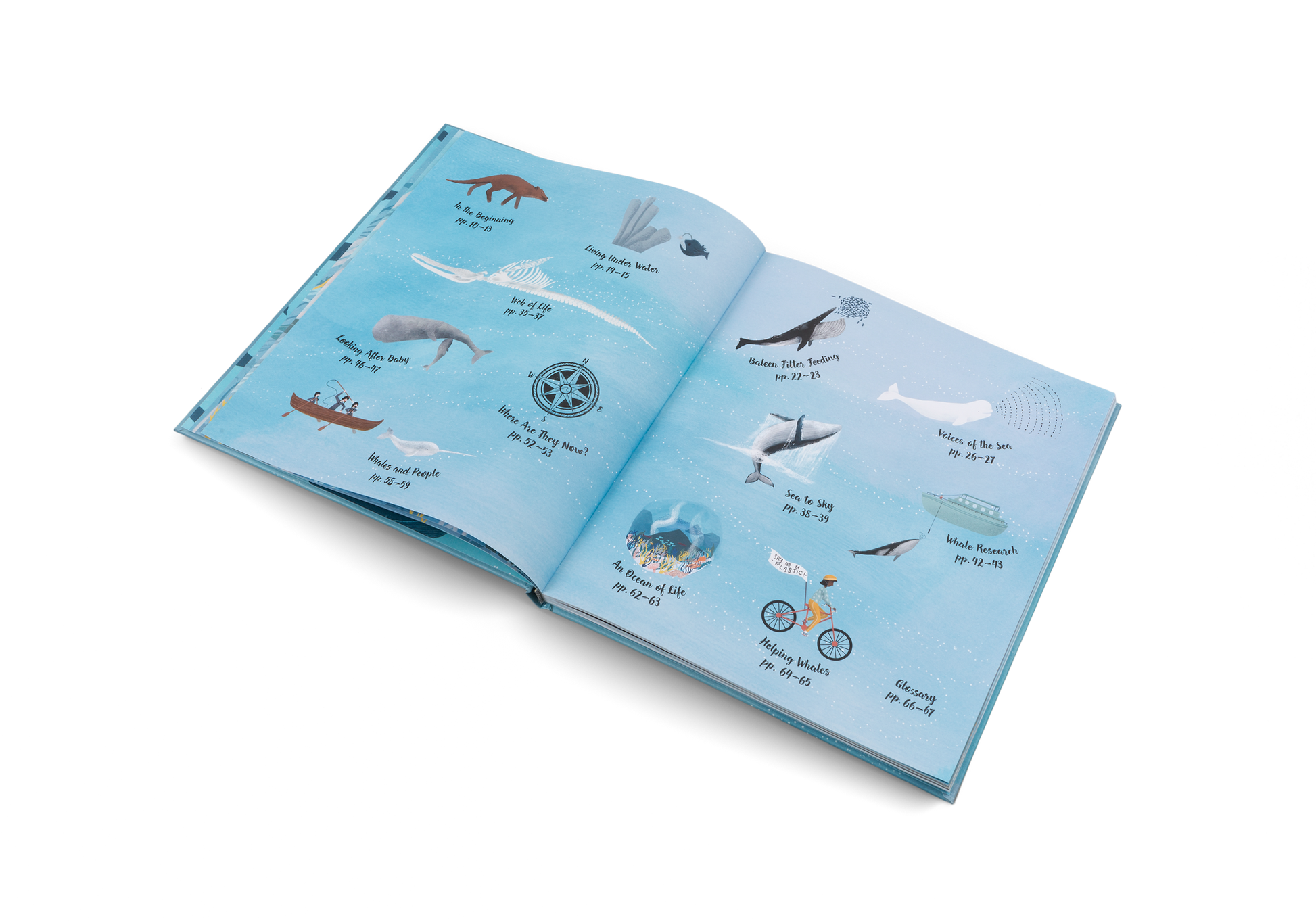 The World of Whales