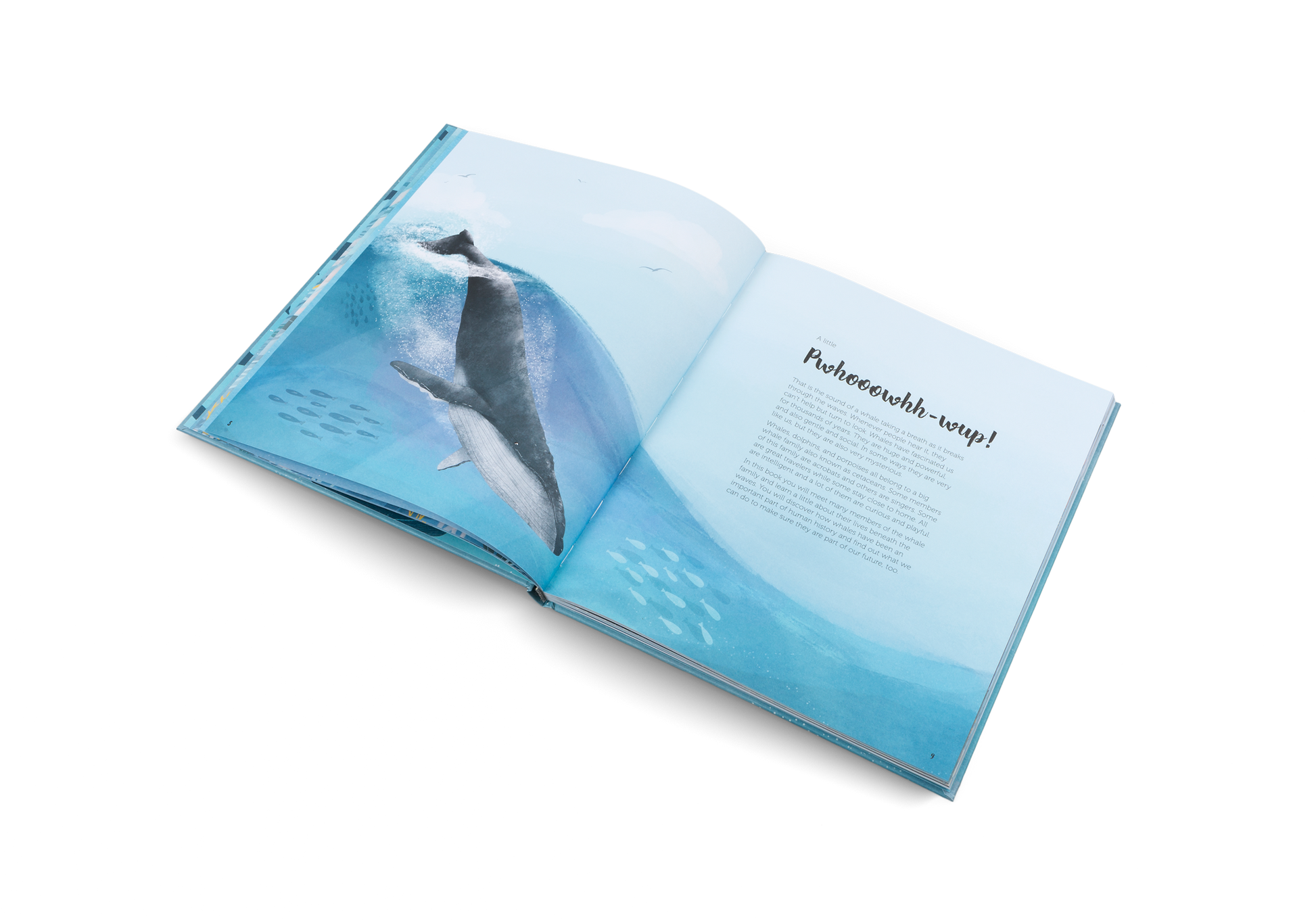 The World of Whales