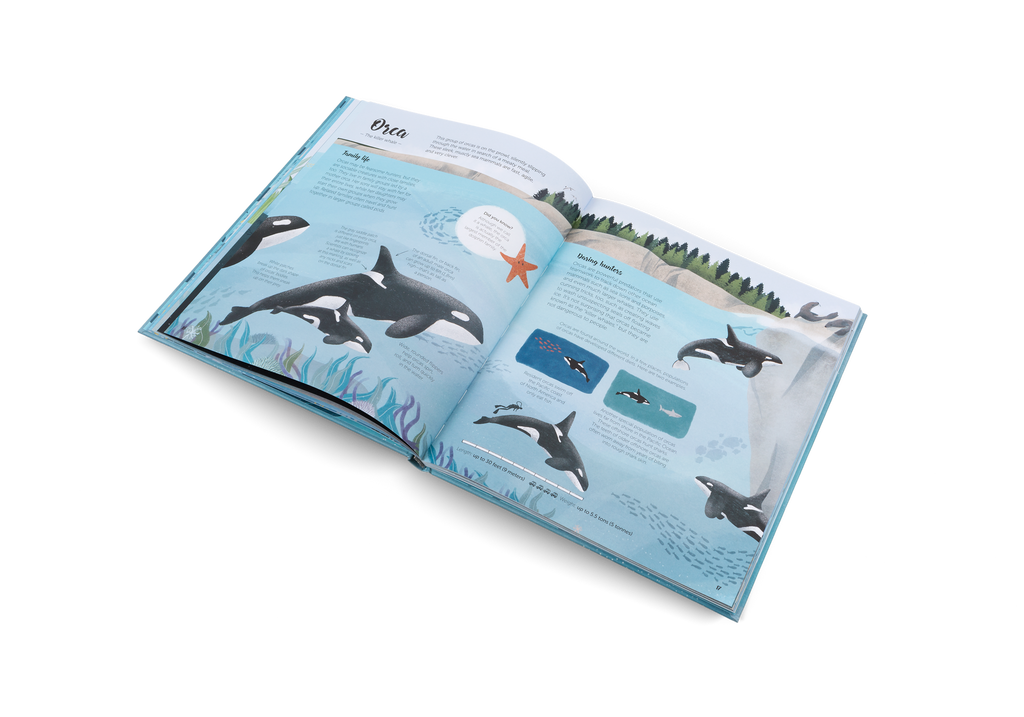 The World of Whales