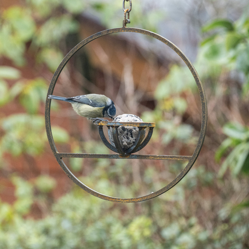 Hanging Fat Ball Feeder