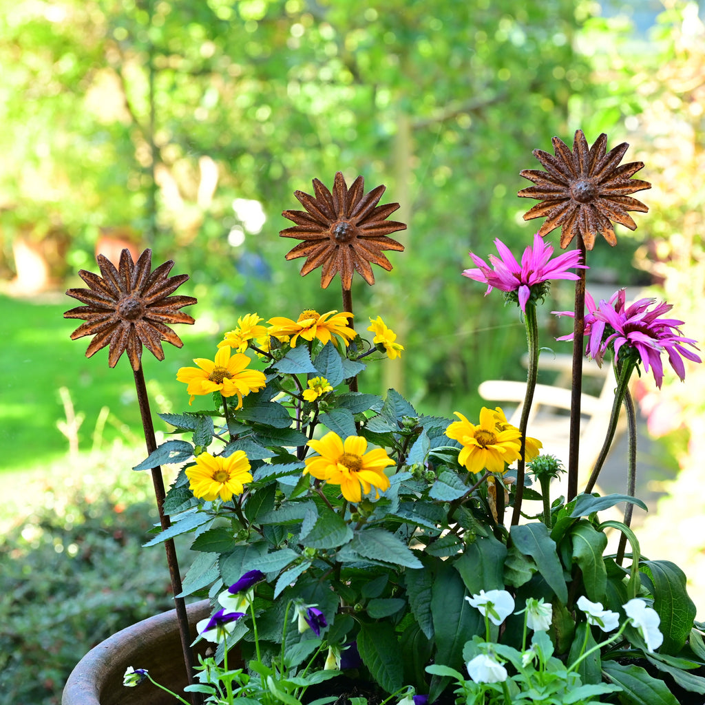 Metal Flower Garden Sculptures