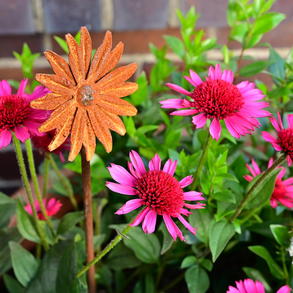Metal Flower Garden Sculptures