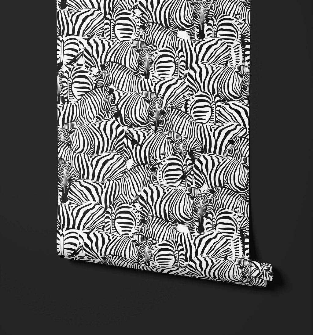 Monochrome Zebra Wallpaper