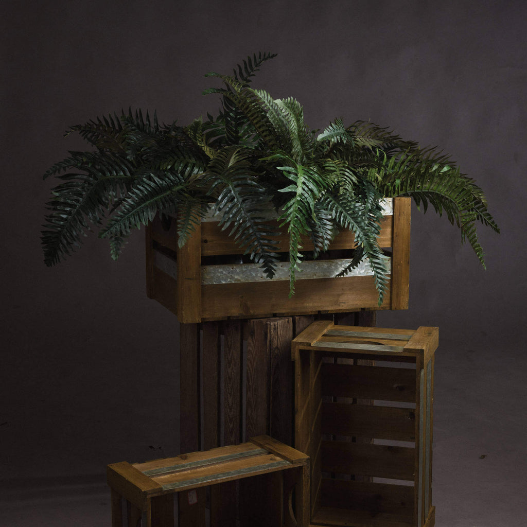 Lifelike artificial fern bunch with cascading foliage, realistic vein patterns, and natural forest green hues, 60cm tall. by sostter at brixbailey.com