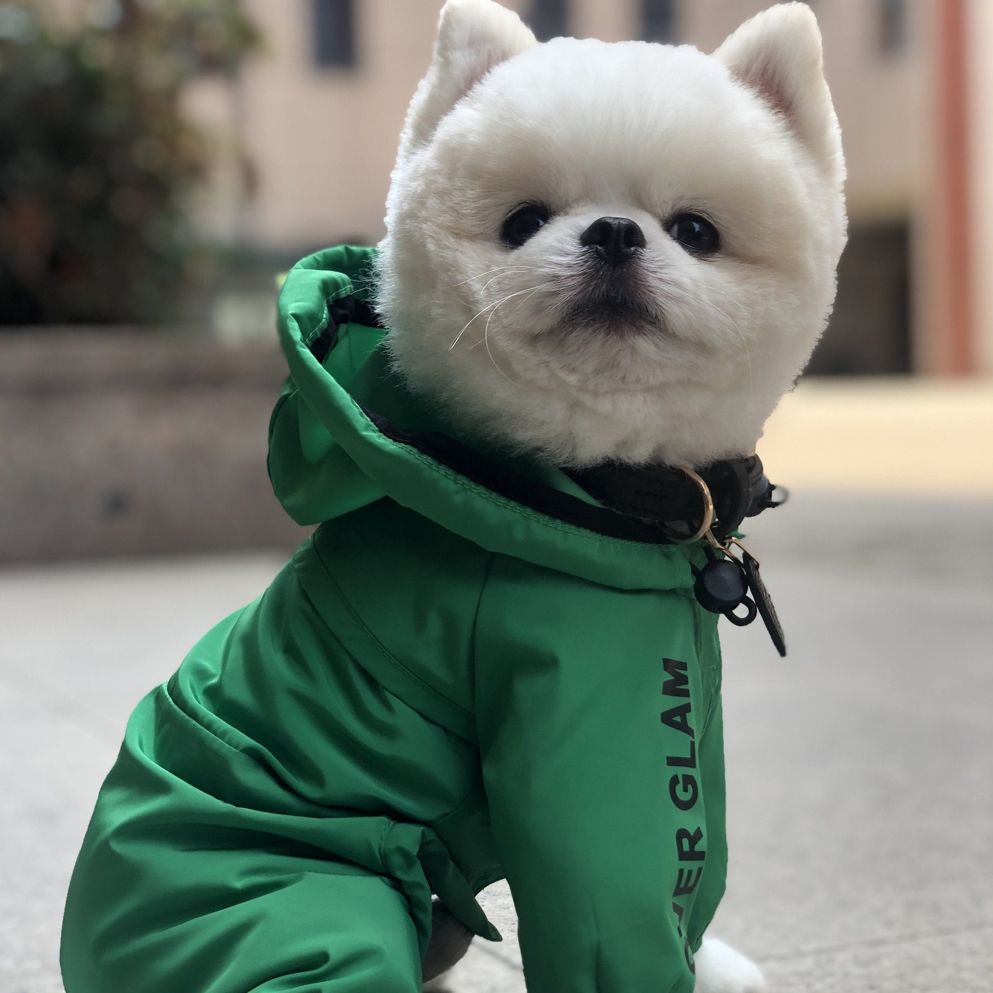 Mint Green Waterproof Thin Coat with Hoodie