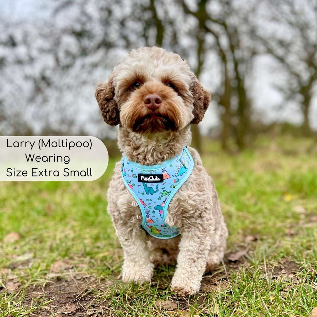 Adjustable Dinosaur Party Dog Harness