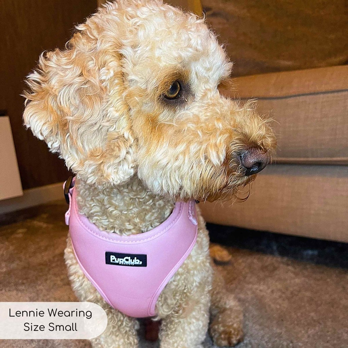 Adjustable Harness in Pastel Pink