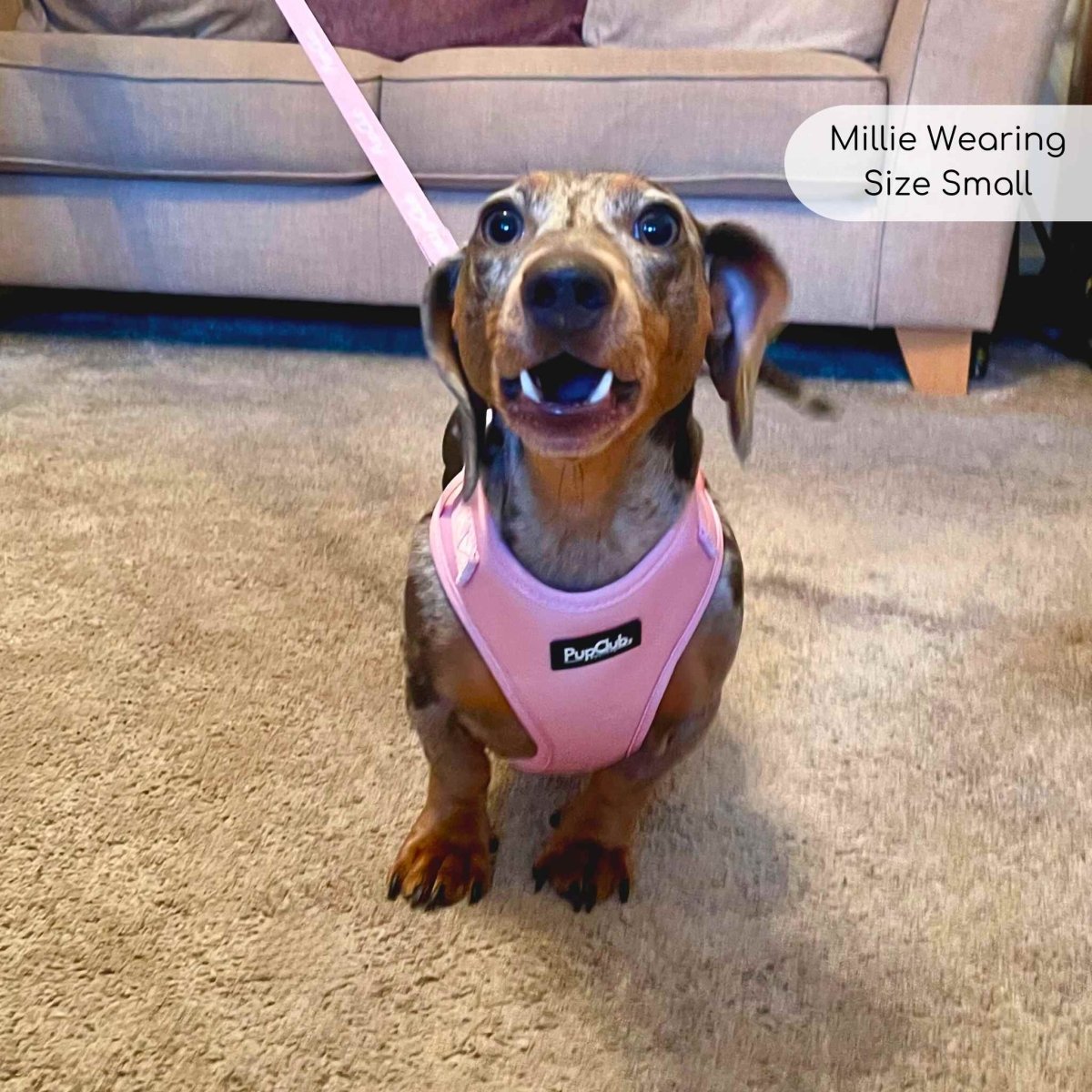 Adjustable Harness in Pastel Pink