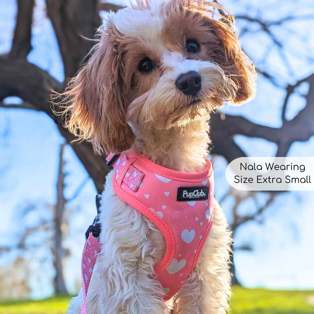 Peachy Hearts Adjustable Dog Harness