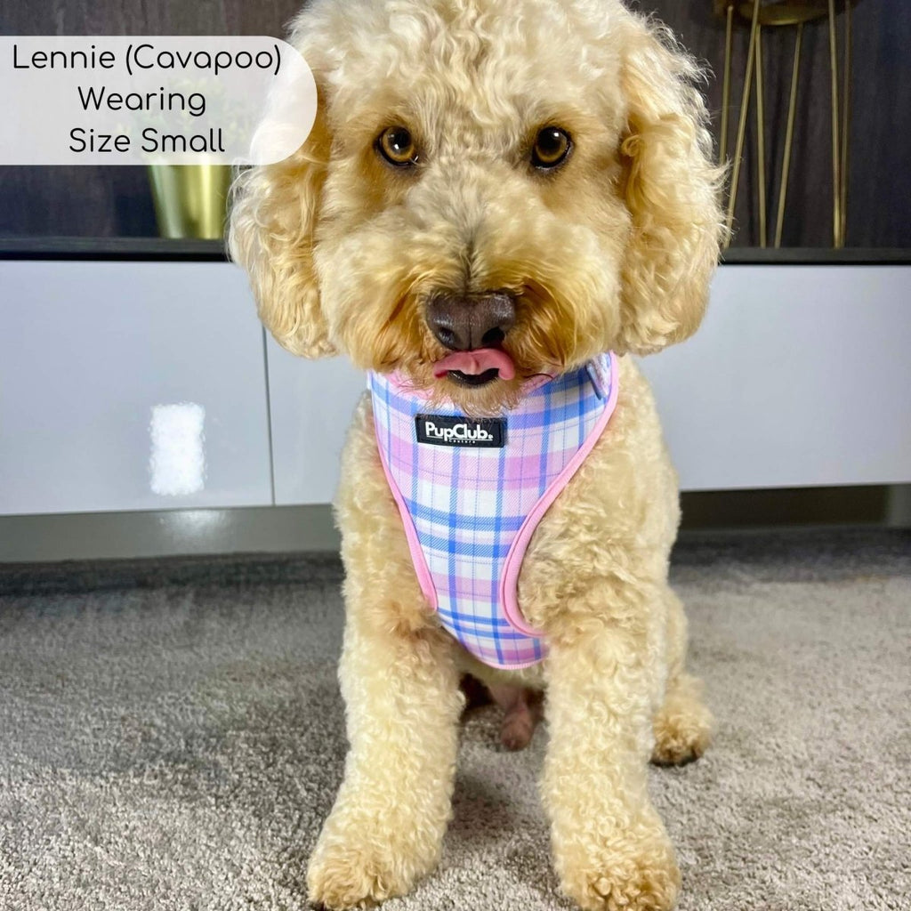 Pink Tartan Adjustable Dog Harness