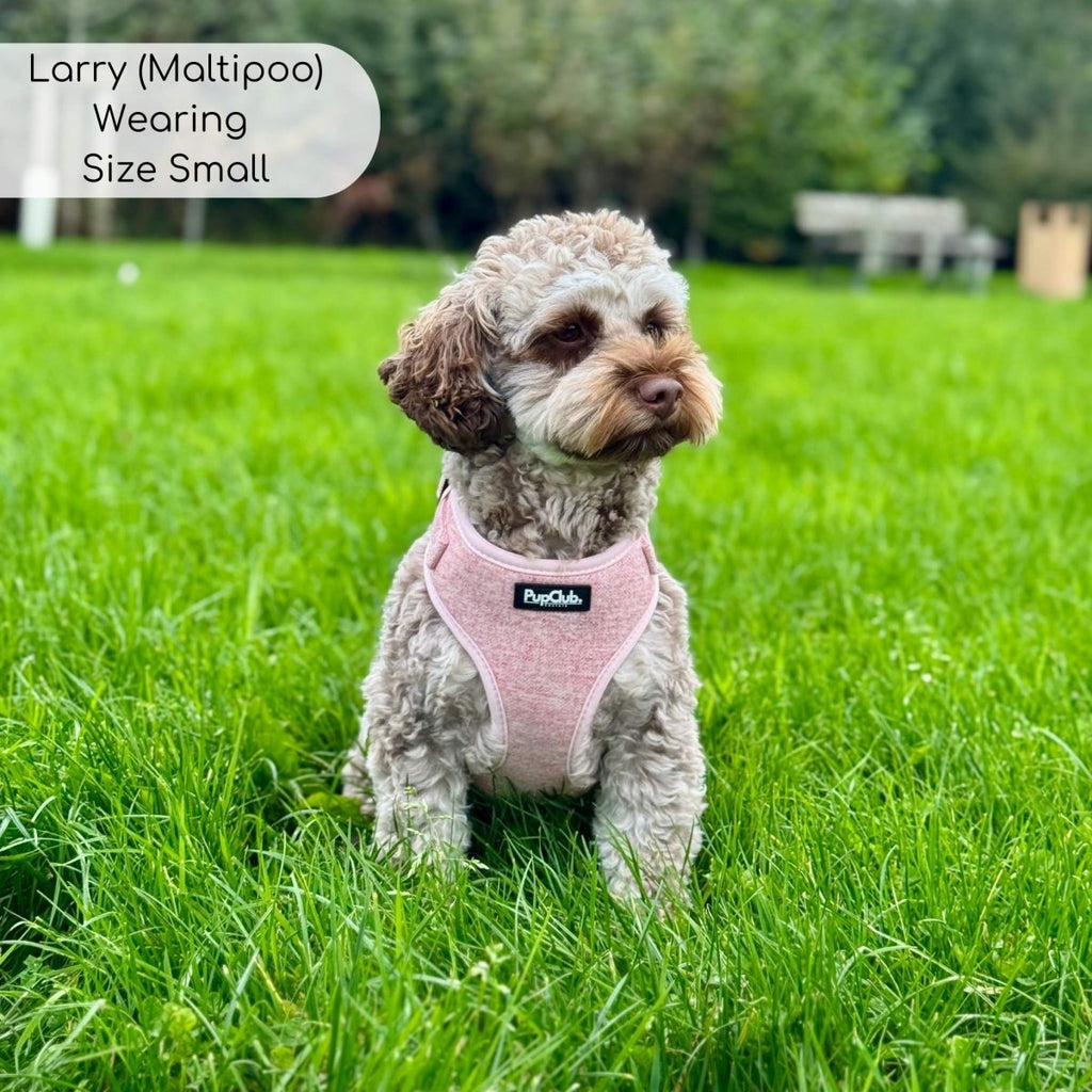 Pink Tweed Adjustable Dog Harness