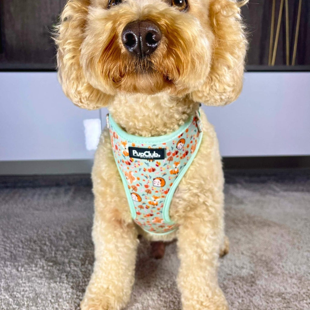 Woodland Friends Adjustable Dog Harness