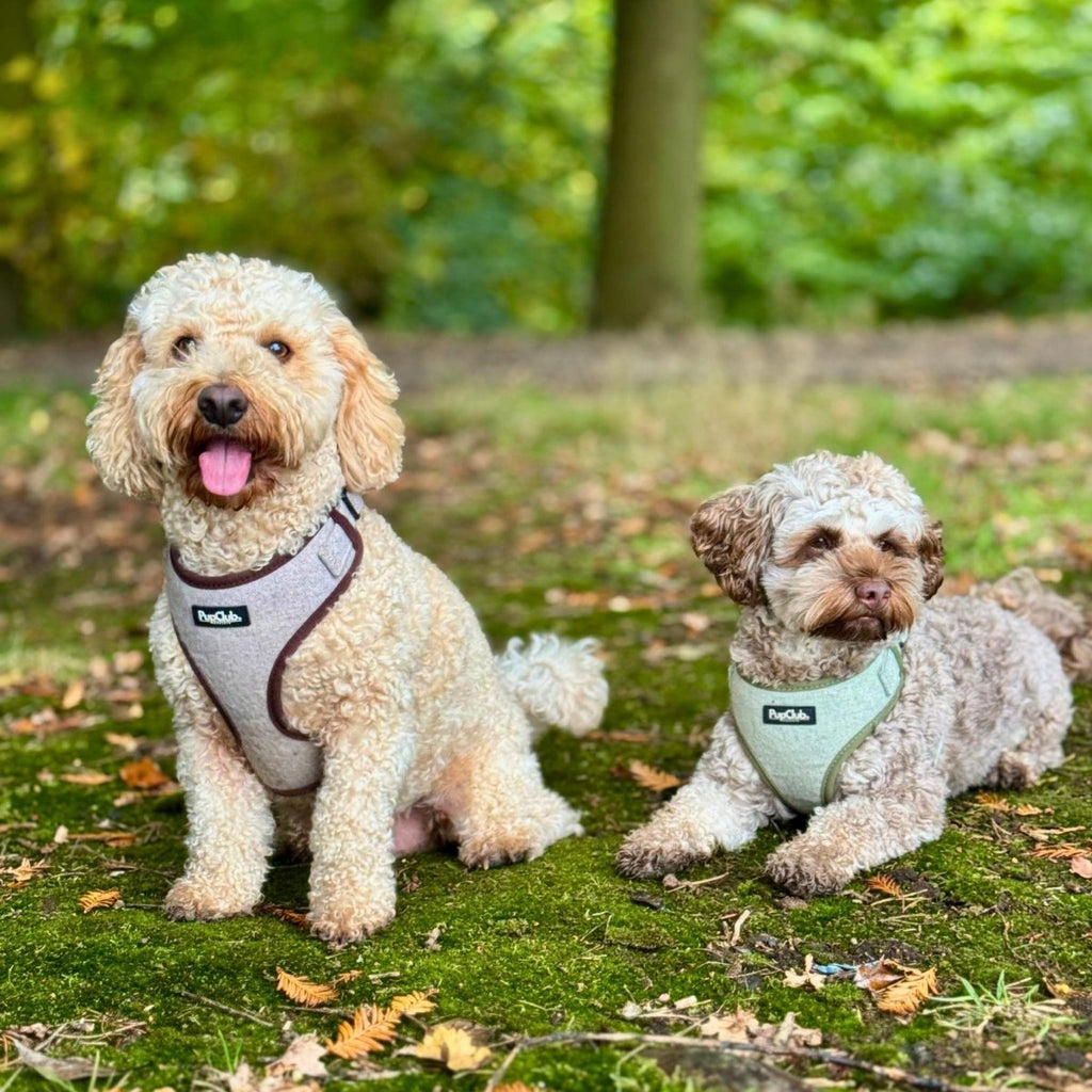 Tweed Adjustable Harness in Brown