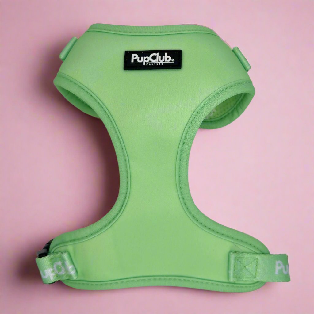 Adjustable Harness in Pastel Mint Green