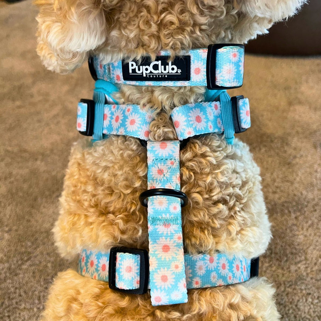 Adjustable Harness in Pastel Daisy