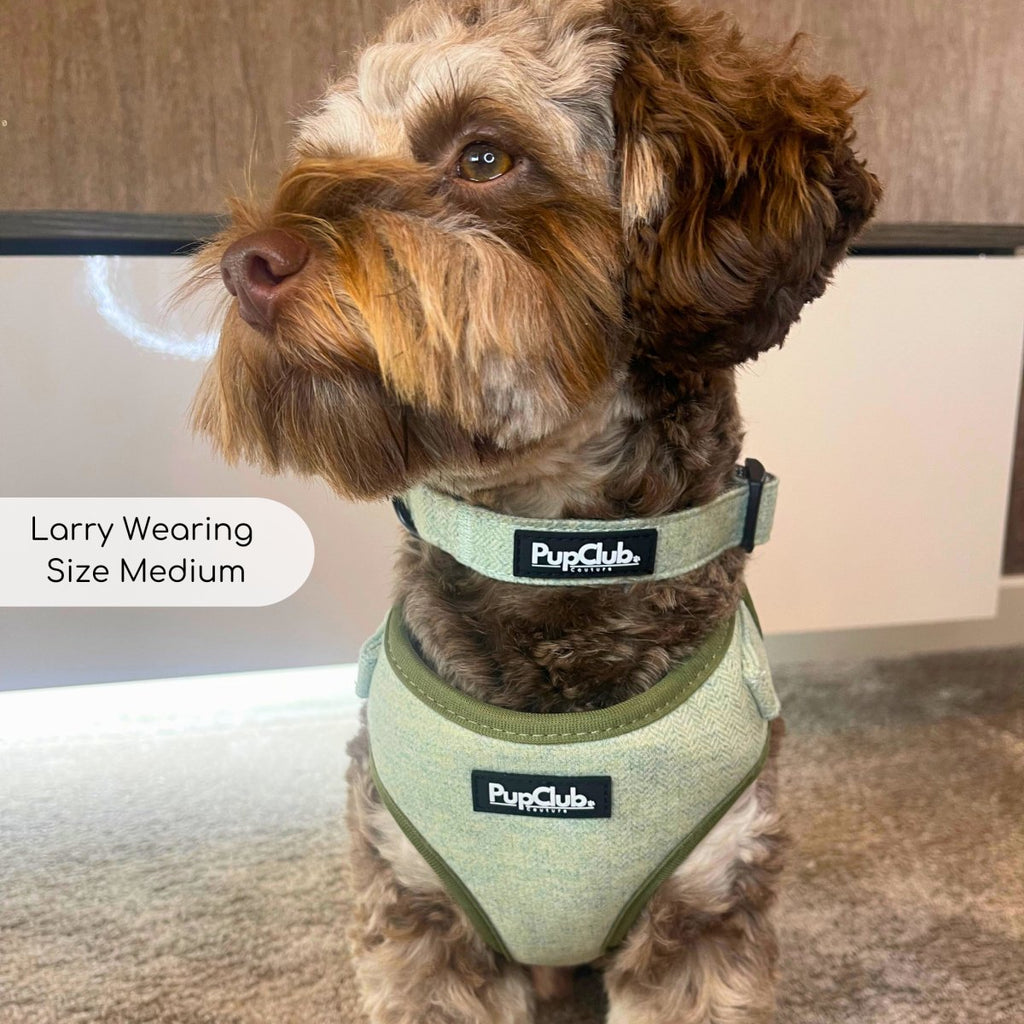 Sage Green Tweed Dog Collar